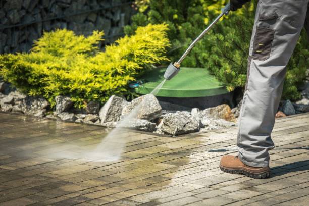 Best Gutter Cleaning  in Preston, TX