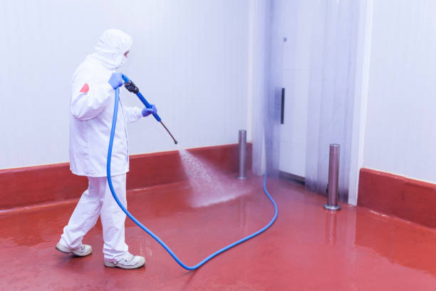 Reliable Preston, TX Pressure Washing Solutions